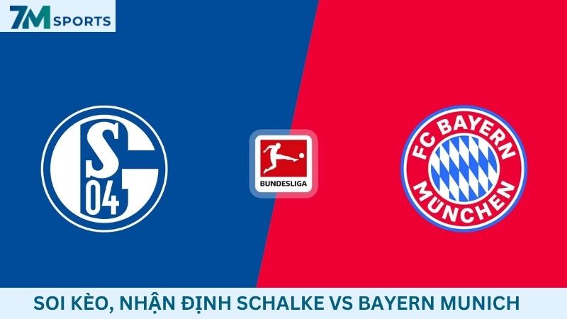 Soi kèo Schalke vs Bayern Munich